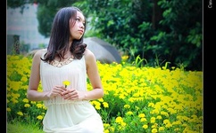 闪电匹格txt下载